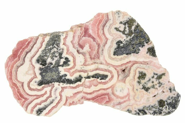 Polished Rhodochrosite With Pyrite Slab - Argentina #232522